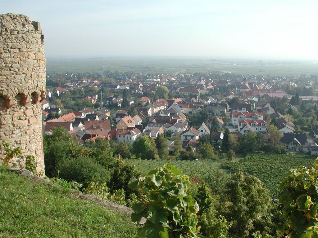 Altstadt-Residenz Manz Wachenheim an der Weinstraße Zewnętrze zdjęcie